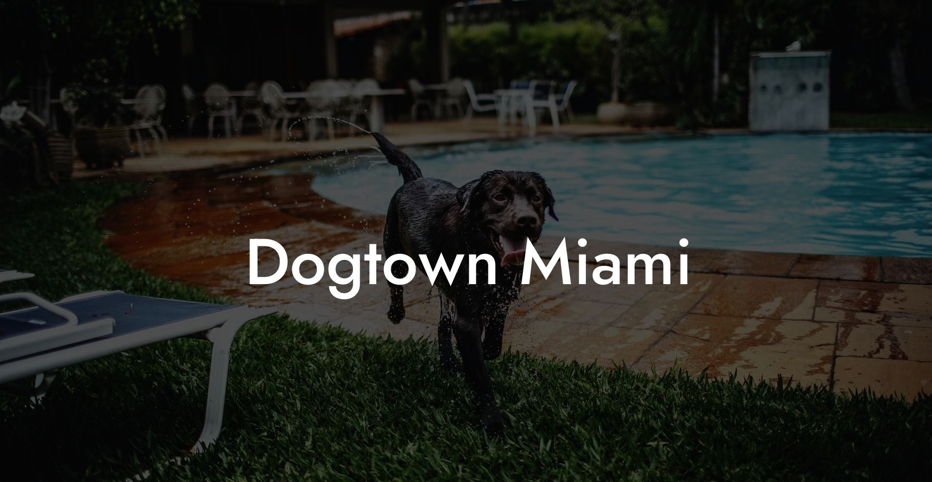 Dogtown Miami