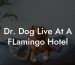 Dr. Dog Live At A FLamingo Hotel