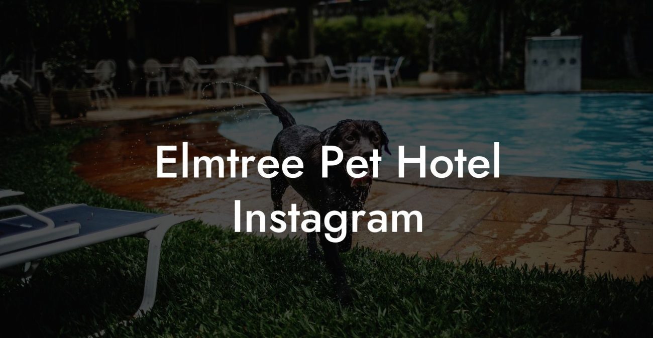 Elmtree Pet Hotel Instagram