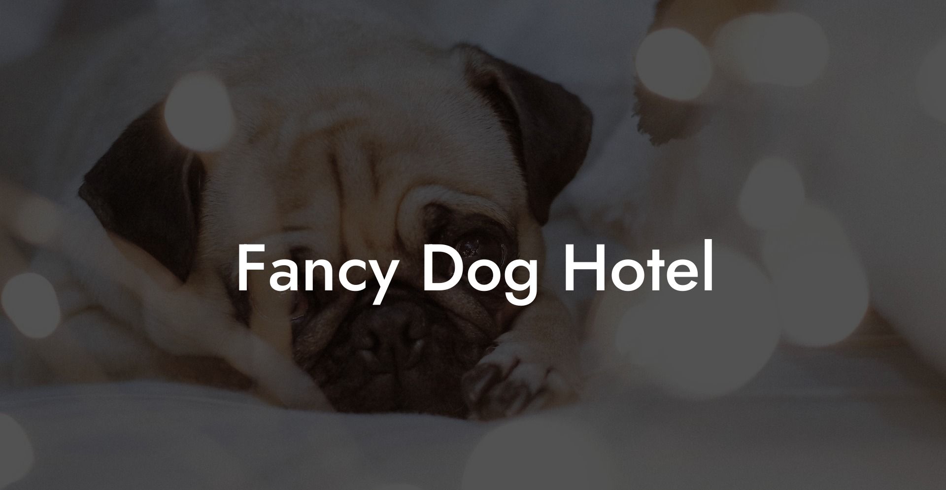 Fancy Dog Hotel