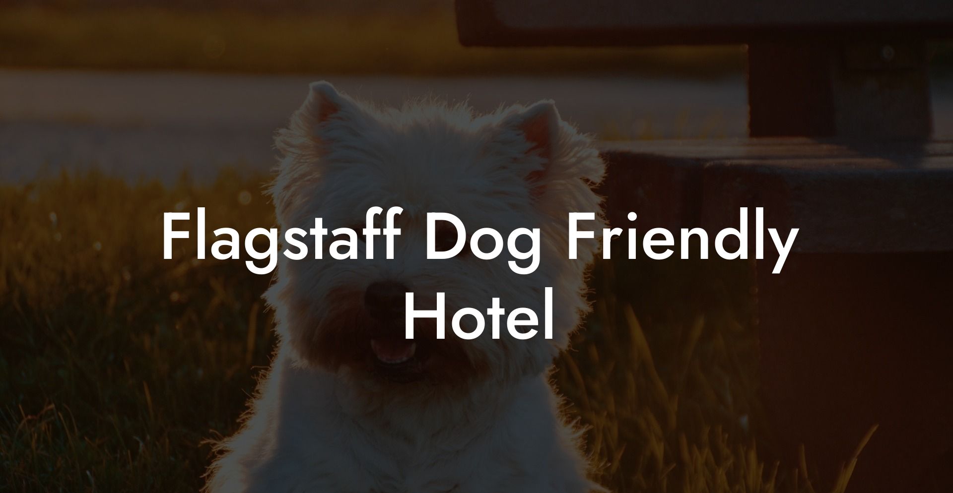 Flagstaff Dog Friendly Hotel