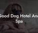 Good Dog Hotel And Spa