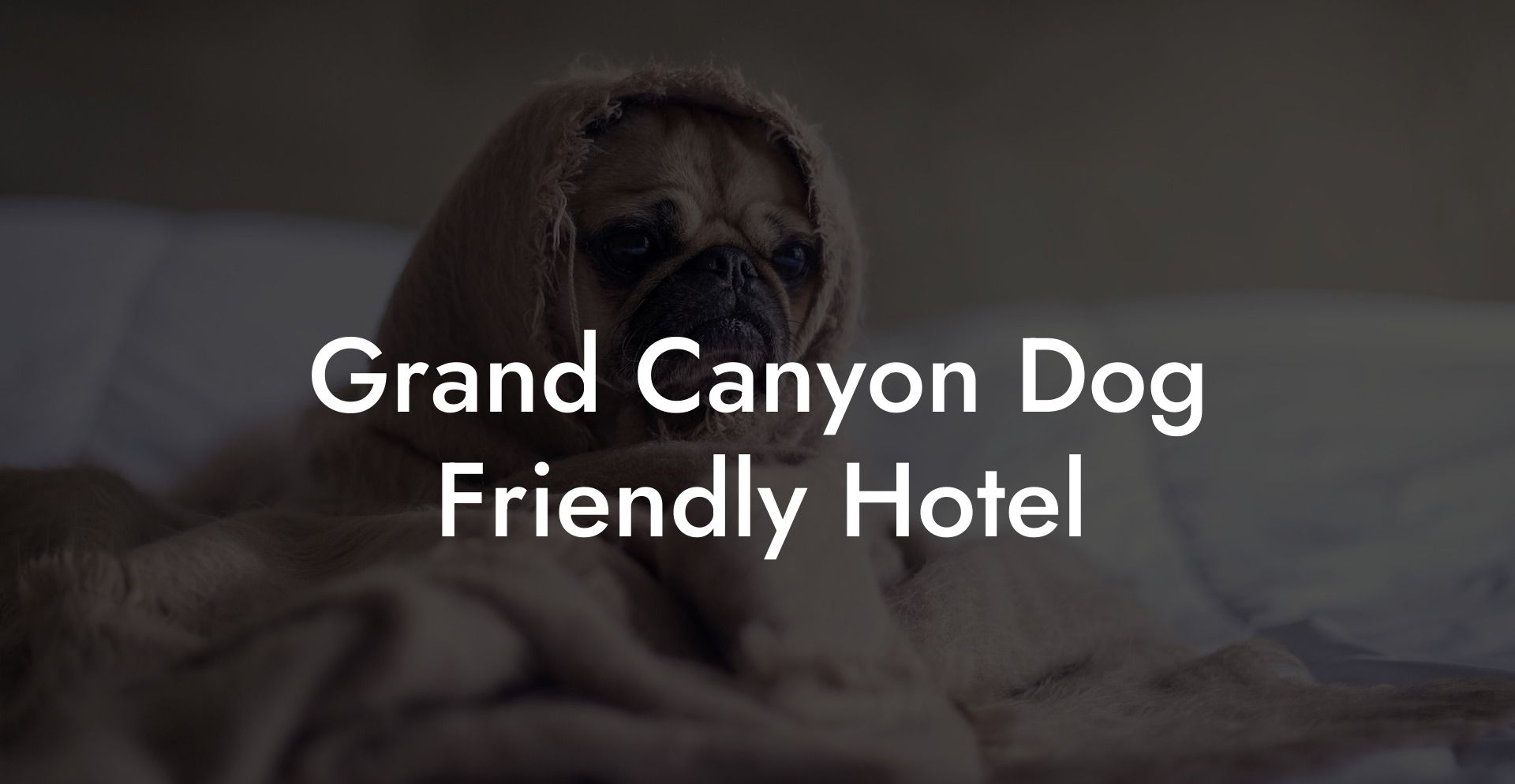 Grand Canyon Dog Friendly Hotel