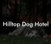 Hilltop Dog Hotel
