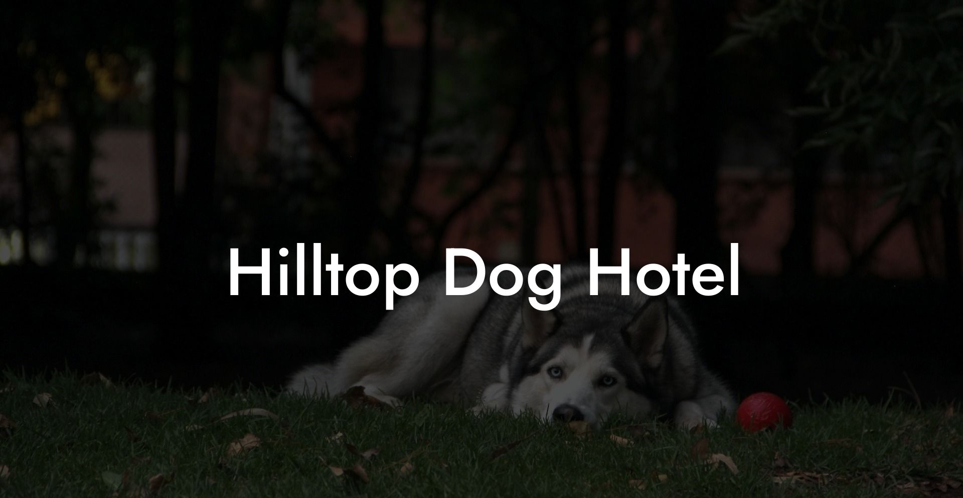 Hilltop Dog Hotel
