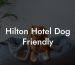 Hilton Hotel Dog Friendly