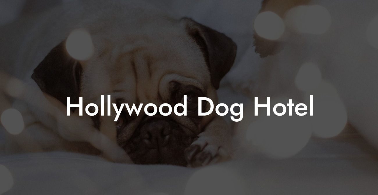 Hollywood Dog Hotel