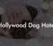 Hollywood Dog Hotel