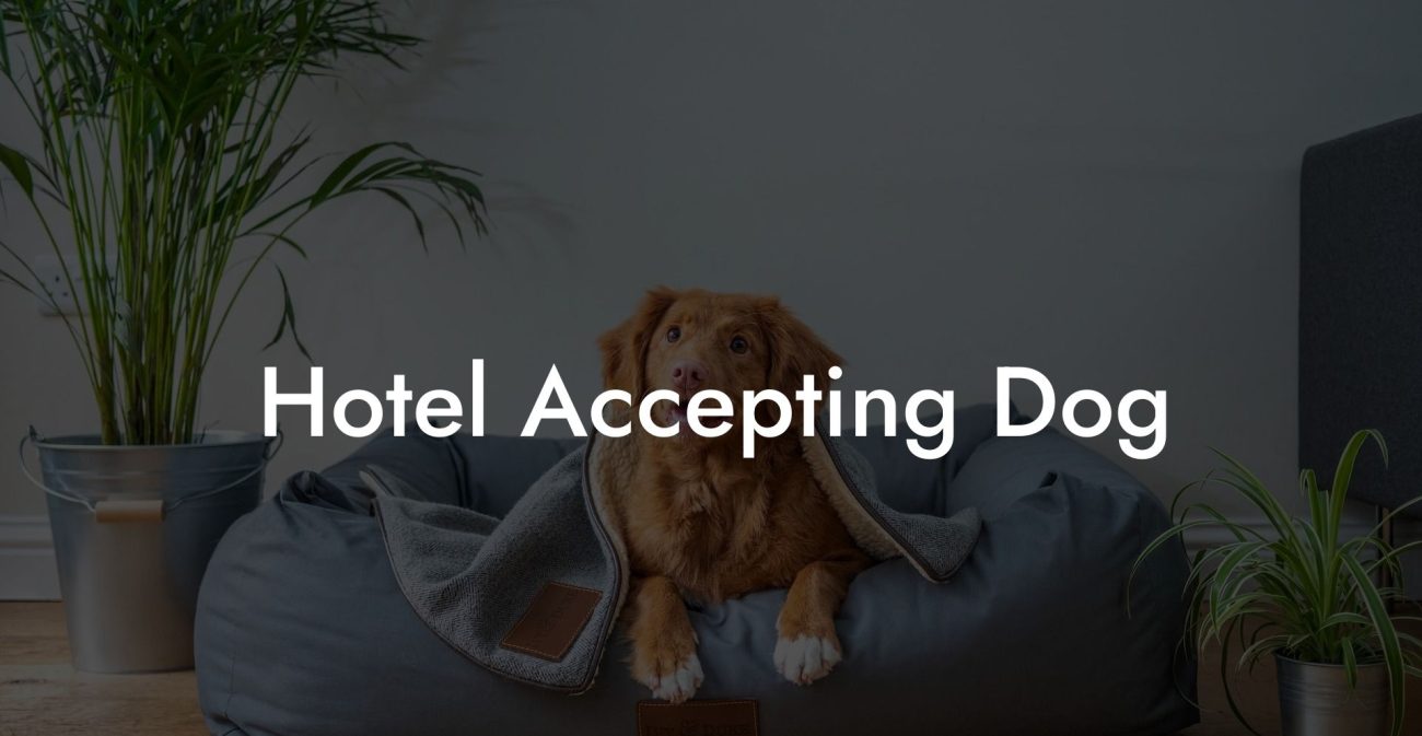 Hotel Accepting Dog