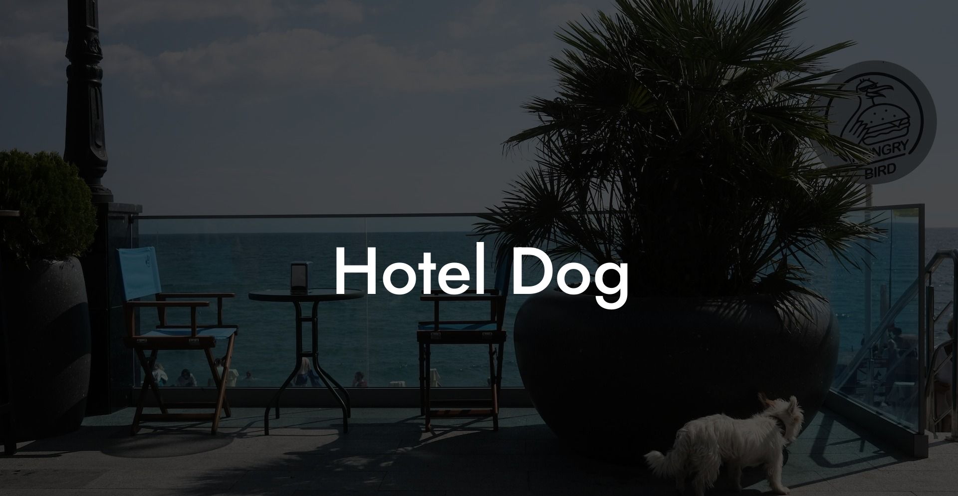 Hotel Dog