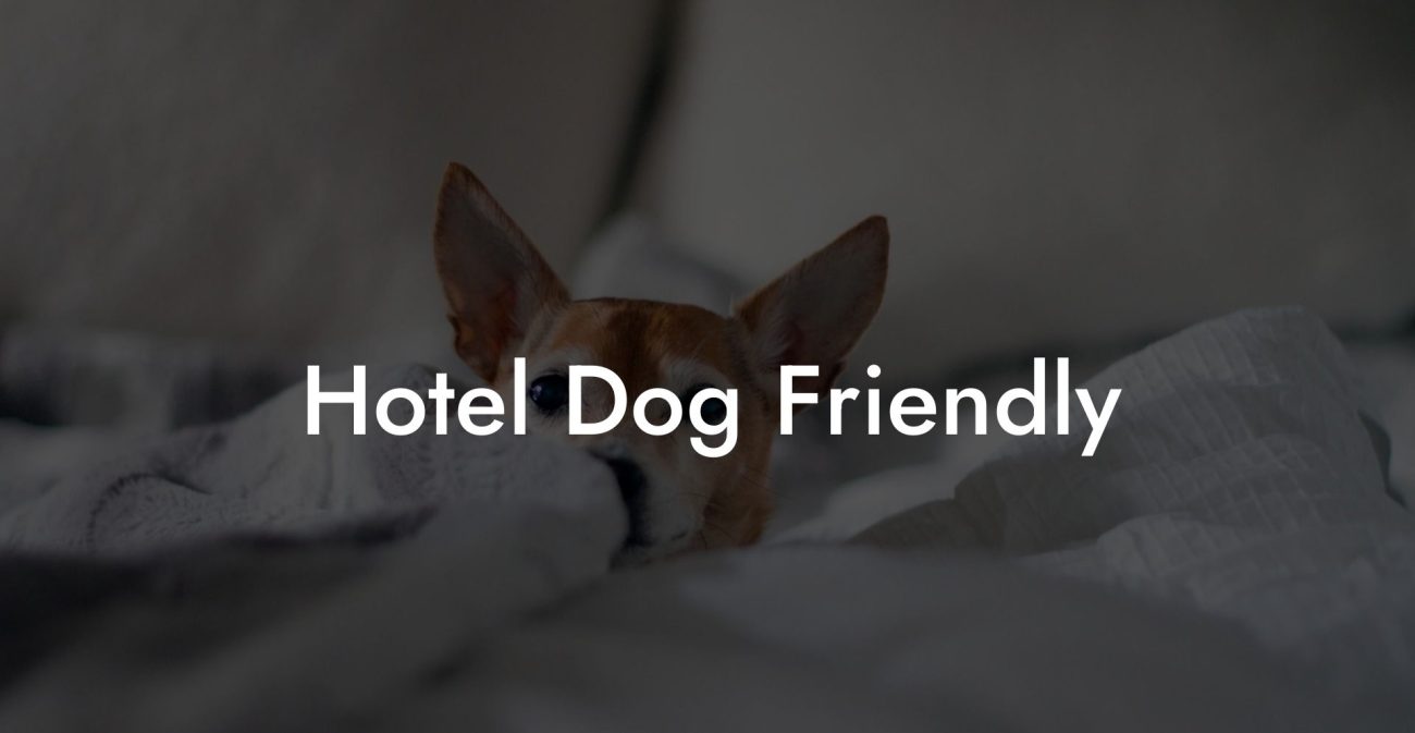 Hotel Dog Friendly
