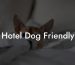 Hotel Dog Friendly