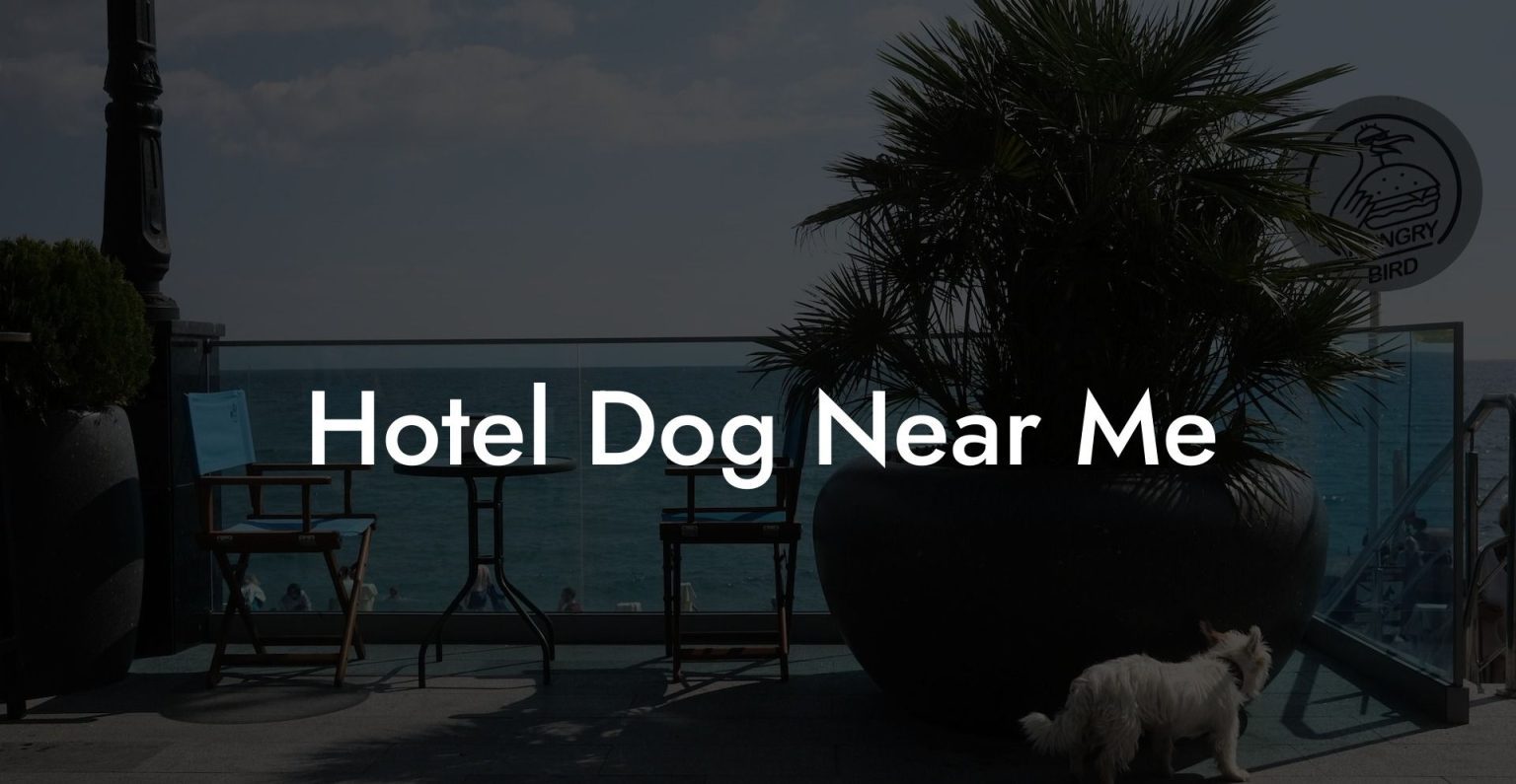 hotel-dog-near-me-dog-hotels