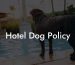 Hotel Dog Policy
