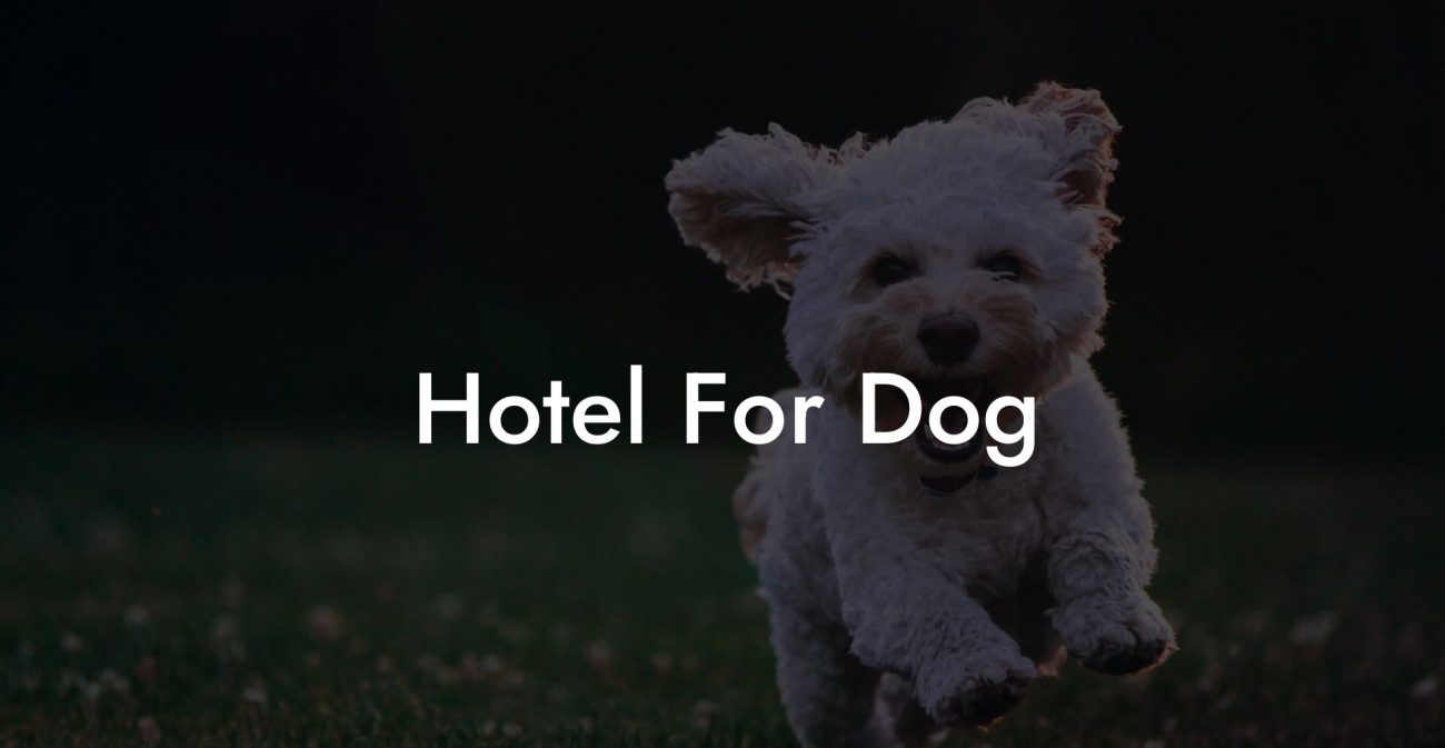 Hotel For Dog