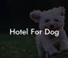 Hotel For Dog