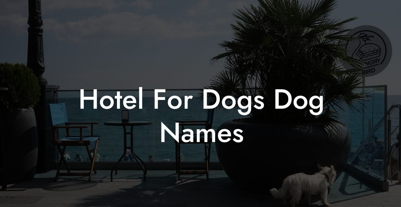 Hotel For Dogs Dog Names Dog Hotels