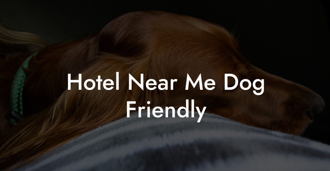 Hotel Near Me Dog Friendly