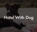 Hotel With Dog