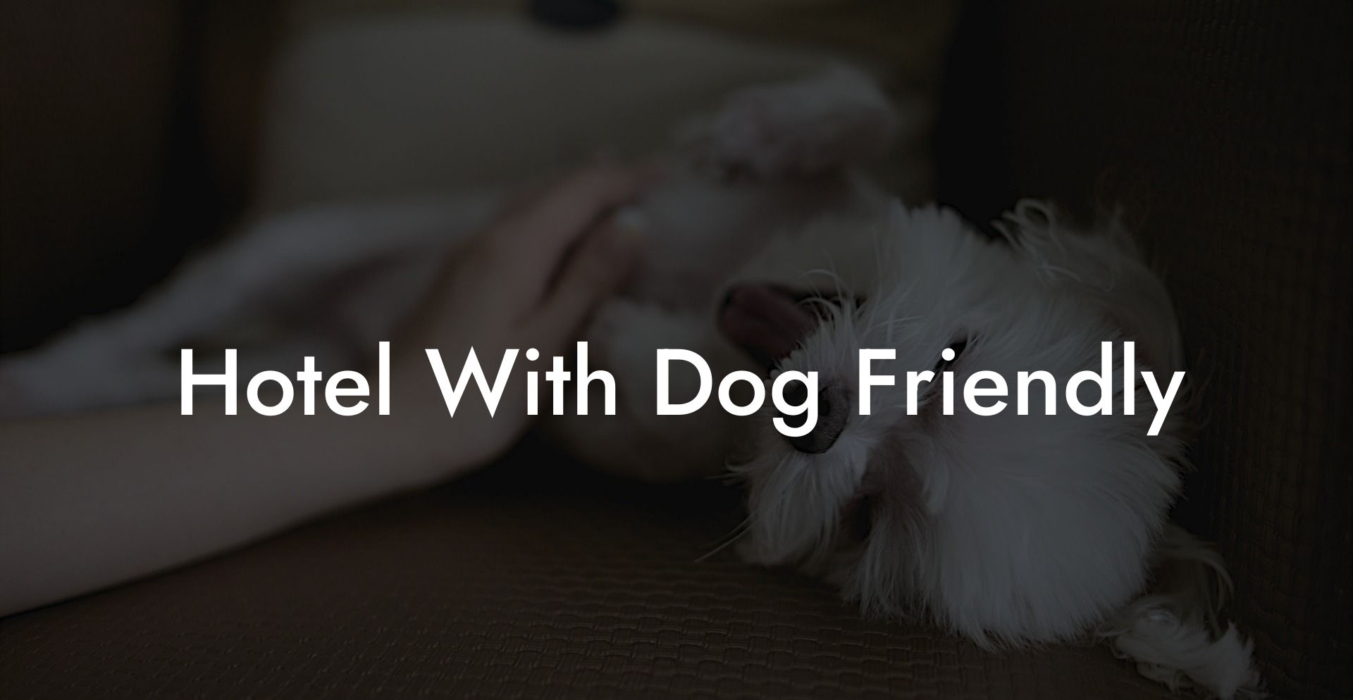 Hotel With Dog Friendly
