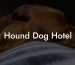 Hound Dog Hotel