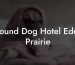 Hound Dog Hotel Eden Prairie