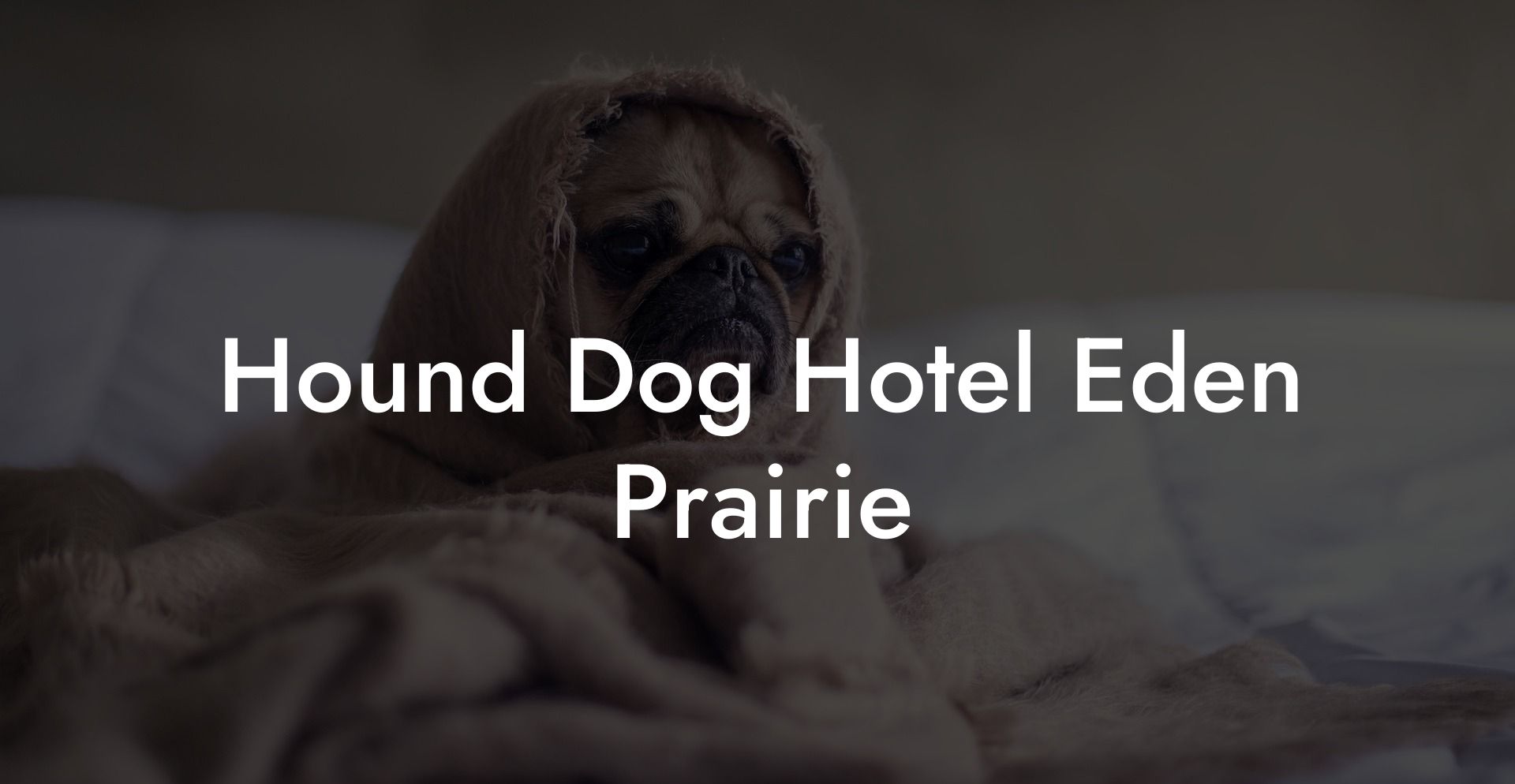 Hound Dog Hotel Eden Prairie