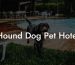 Hound Dog Pet Hotel