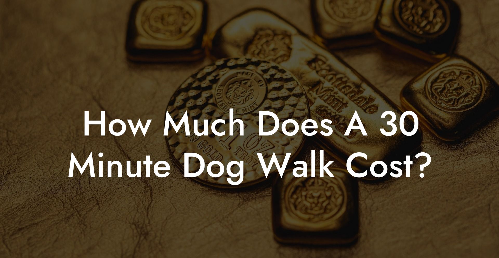 How Much Does A 30 Minute Dog Walk Cost?