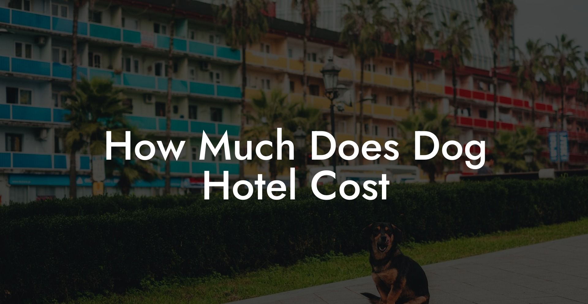 How Much Does Dog Hotel Cost