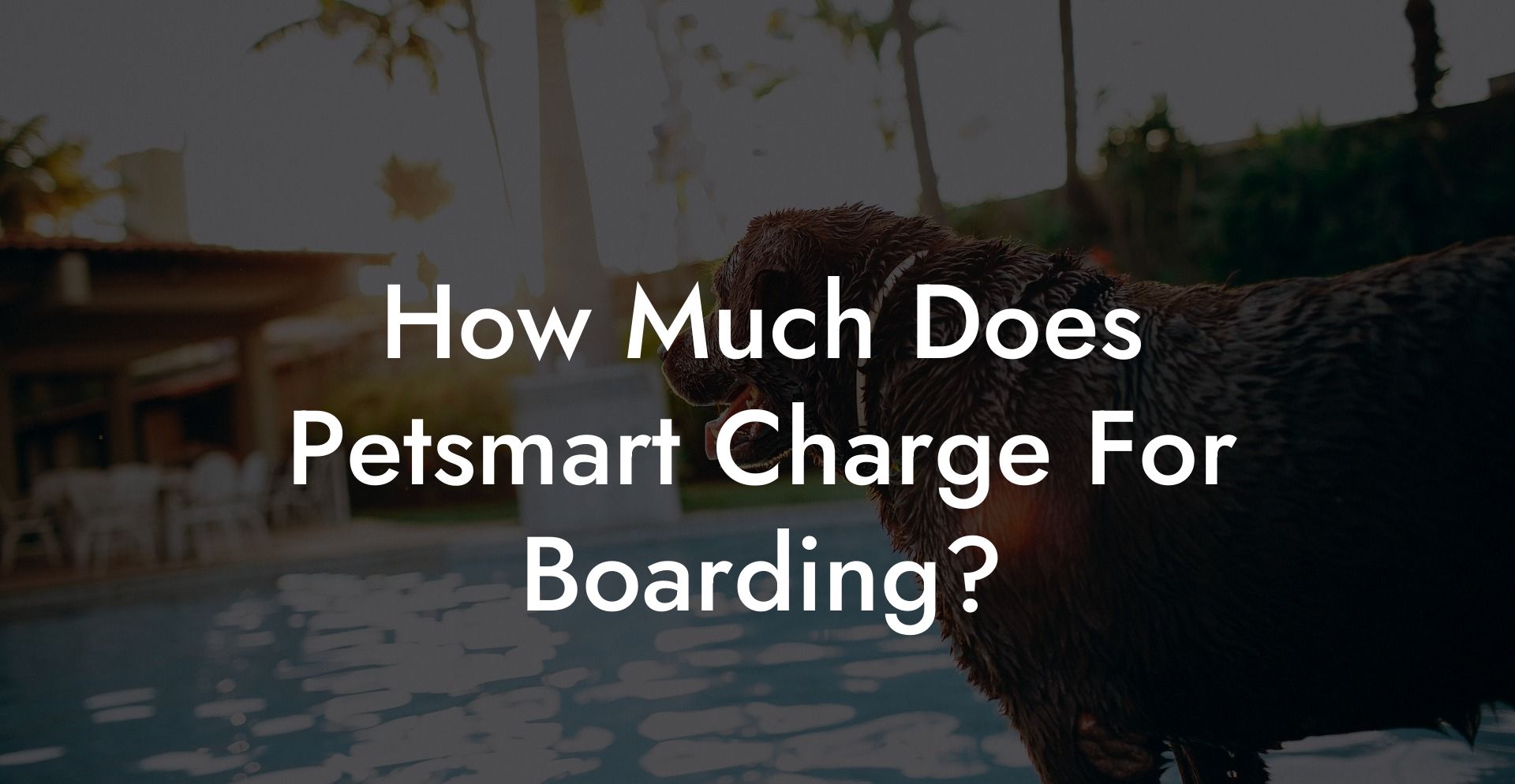 How Much Does Petsmart Charge For Boarding?