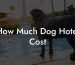 How Much Dog Hotel Cost