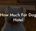 How Much For Dog Hotel