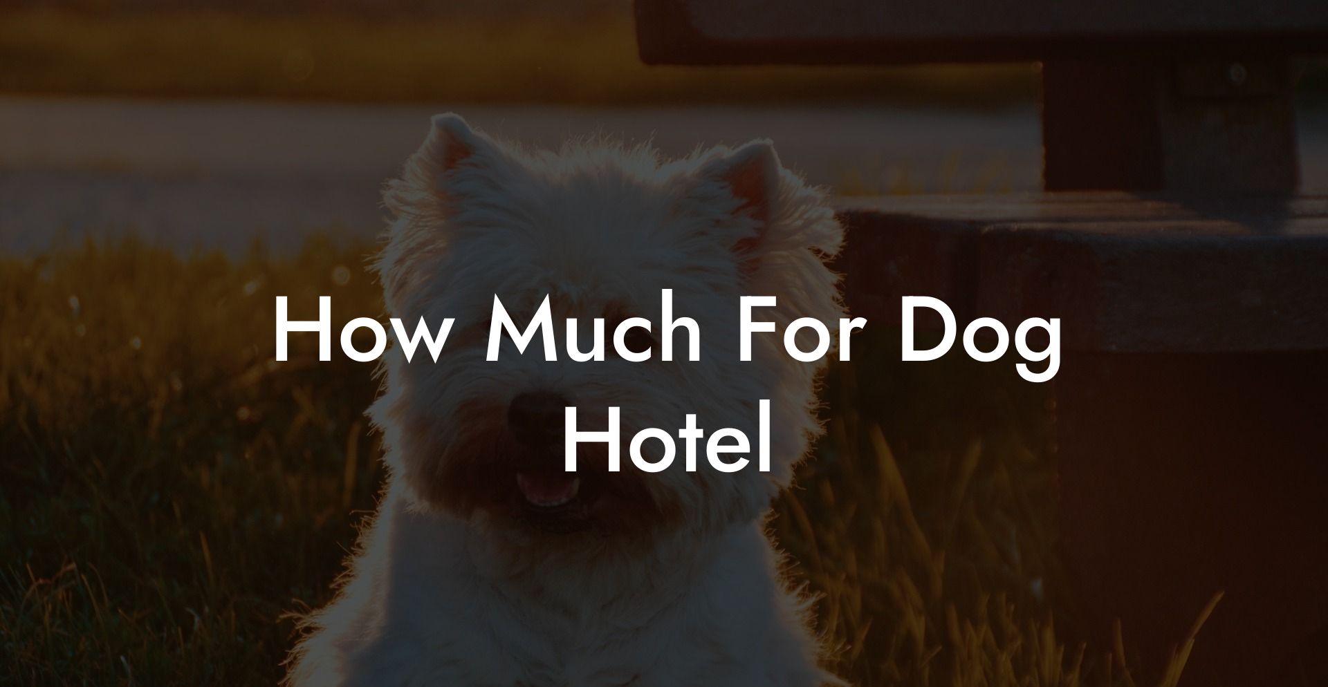How Much For Dog Hotel