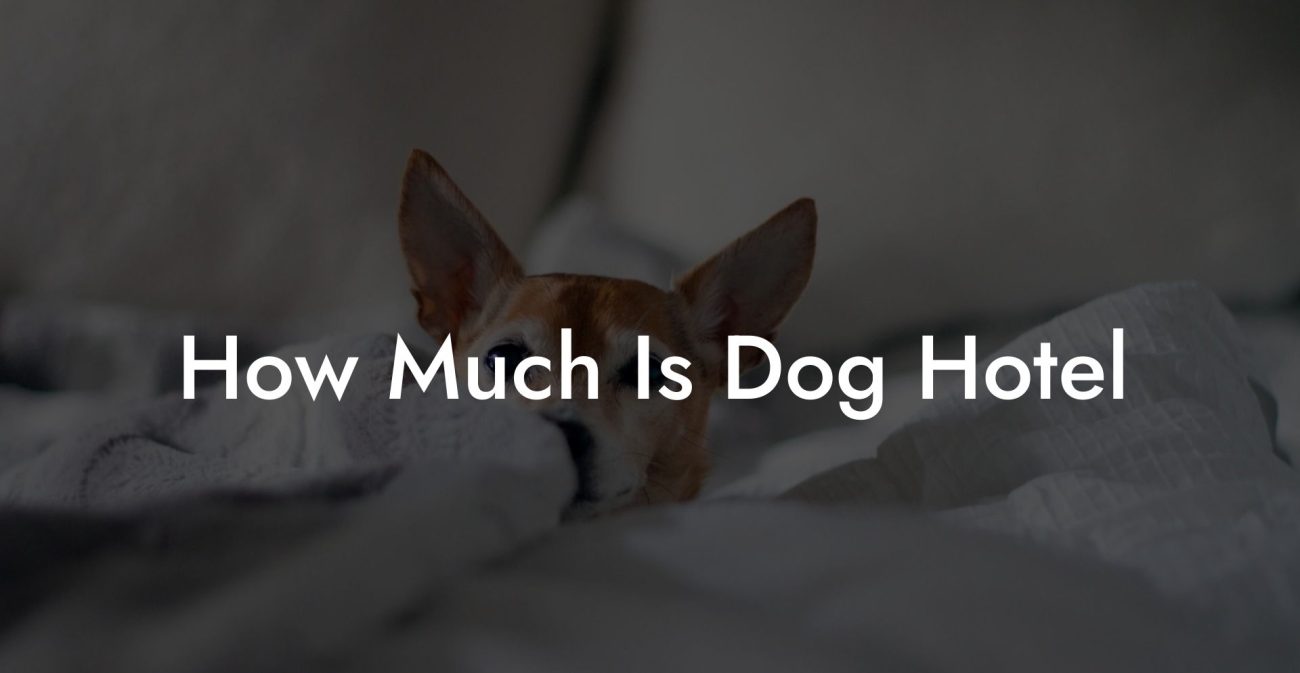 How Much Is Dog Hotel