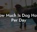 How Much Is Dog Hotel Per Day