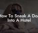 How To Sneak A Dog Into A Hotel