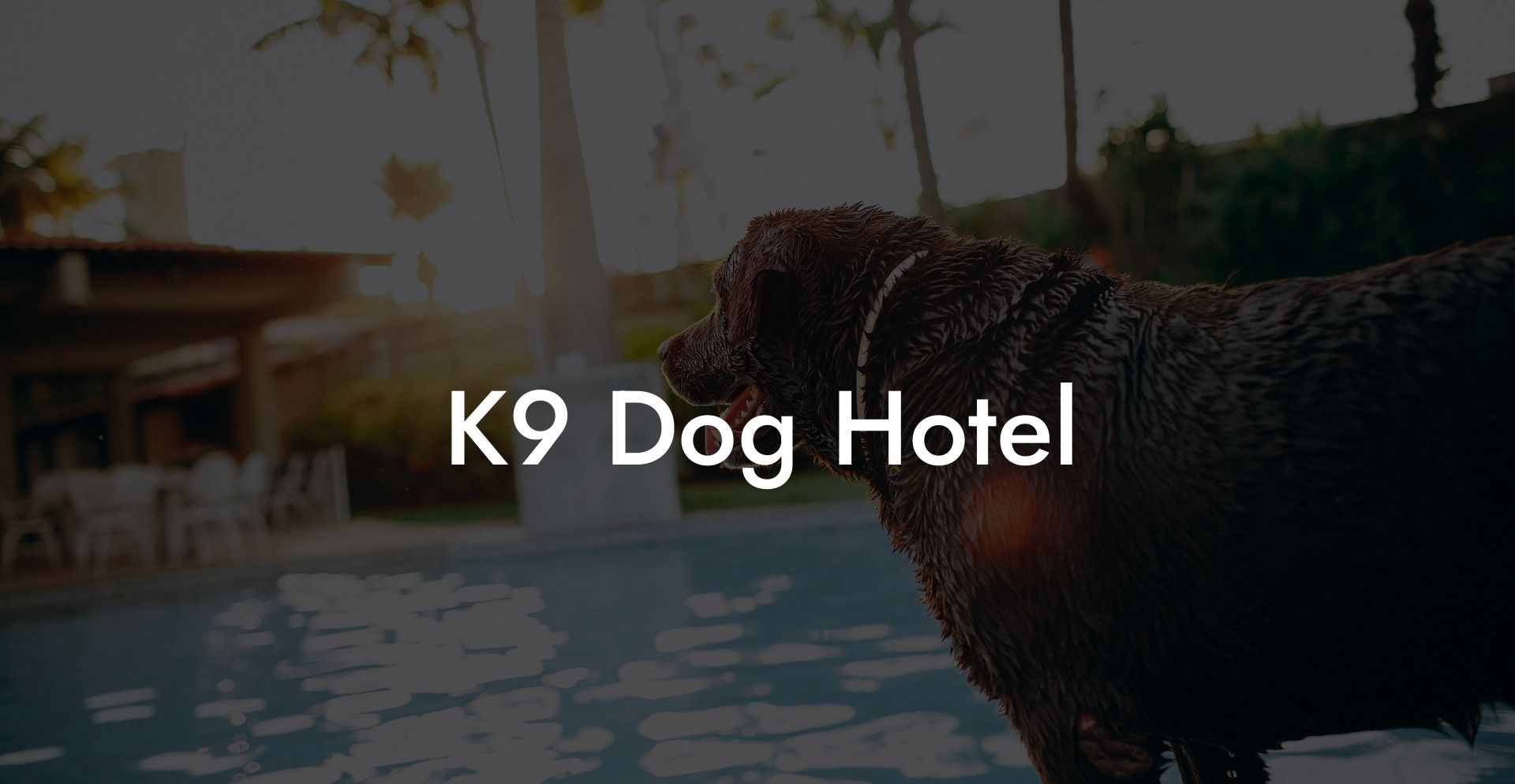 K9 Dog Hotel