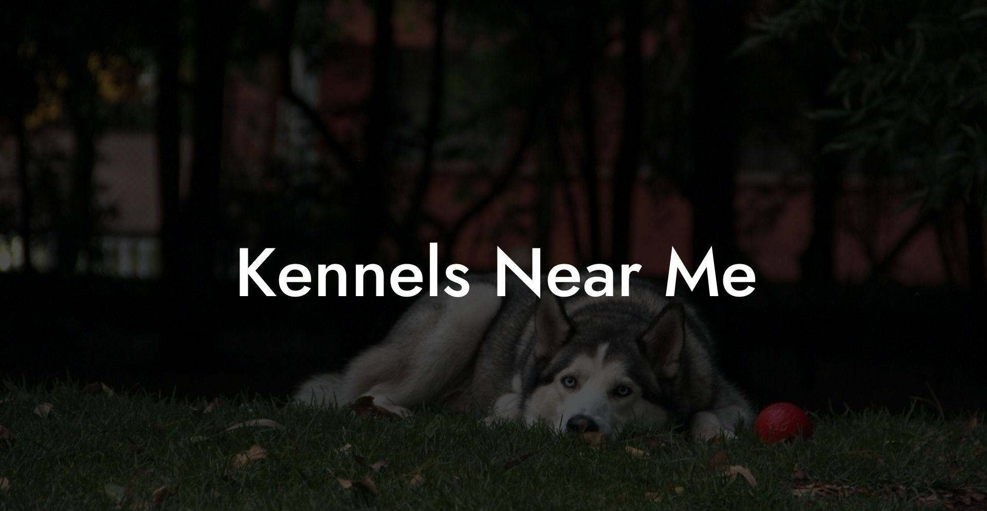 Kennels Near Me