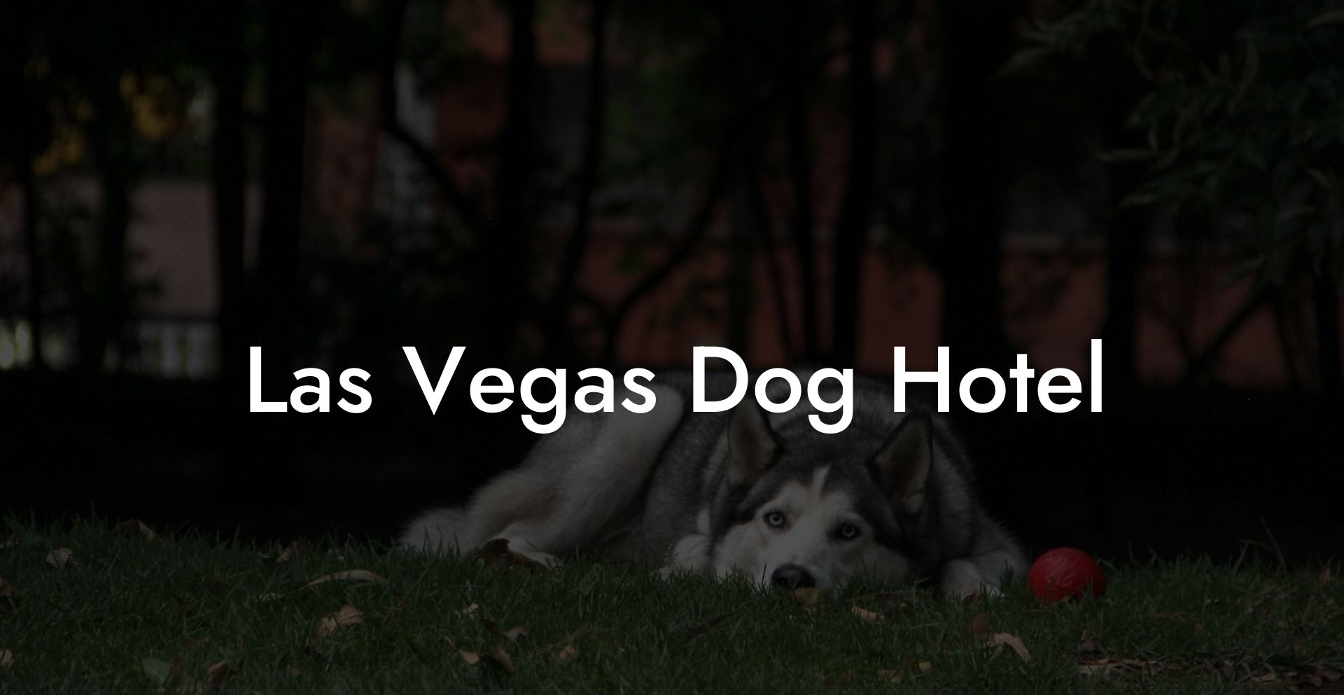 Las Vegas Dog Hotel