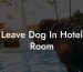 Leave Dog In Hotel Room