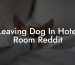 Leaving Dog In Hotel Room Reddit