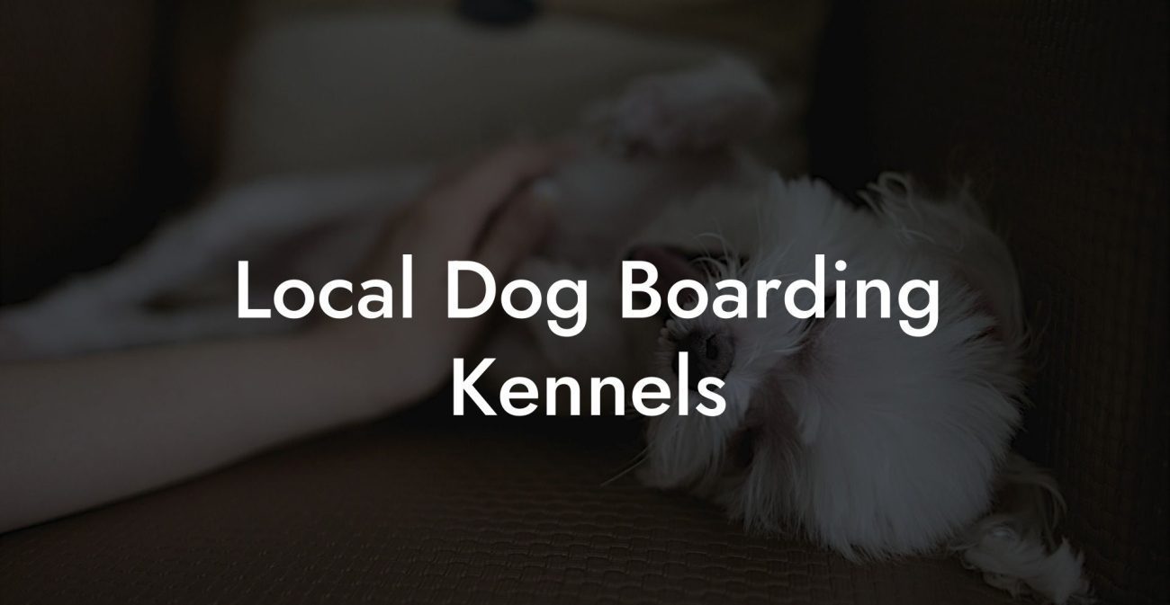 Local Dog Boarding Kennels