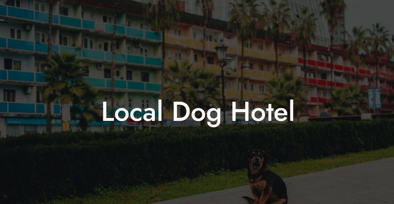 Local Dog Hotel