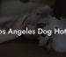 Los Angeles Dog Hotel