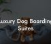 Luxury Dog Boarding Suites