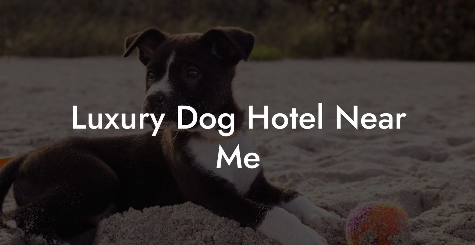 luxury pet friendly hotel near me