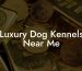Luxury Dog Kennels Near Me