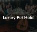 Luxury Pet Hotel