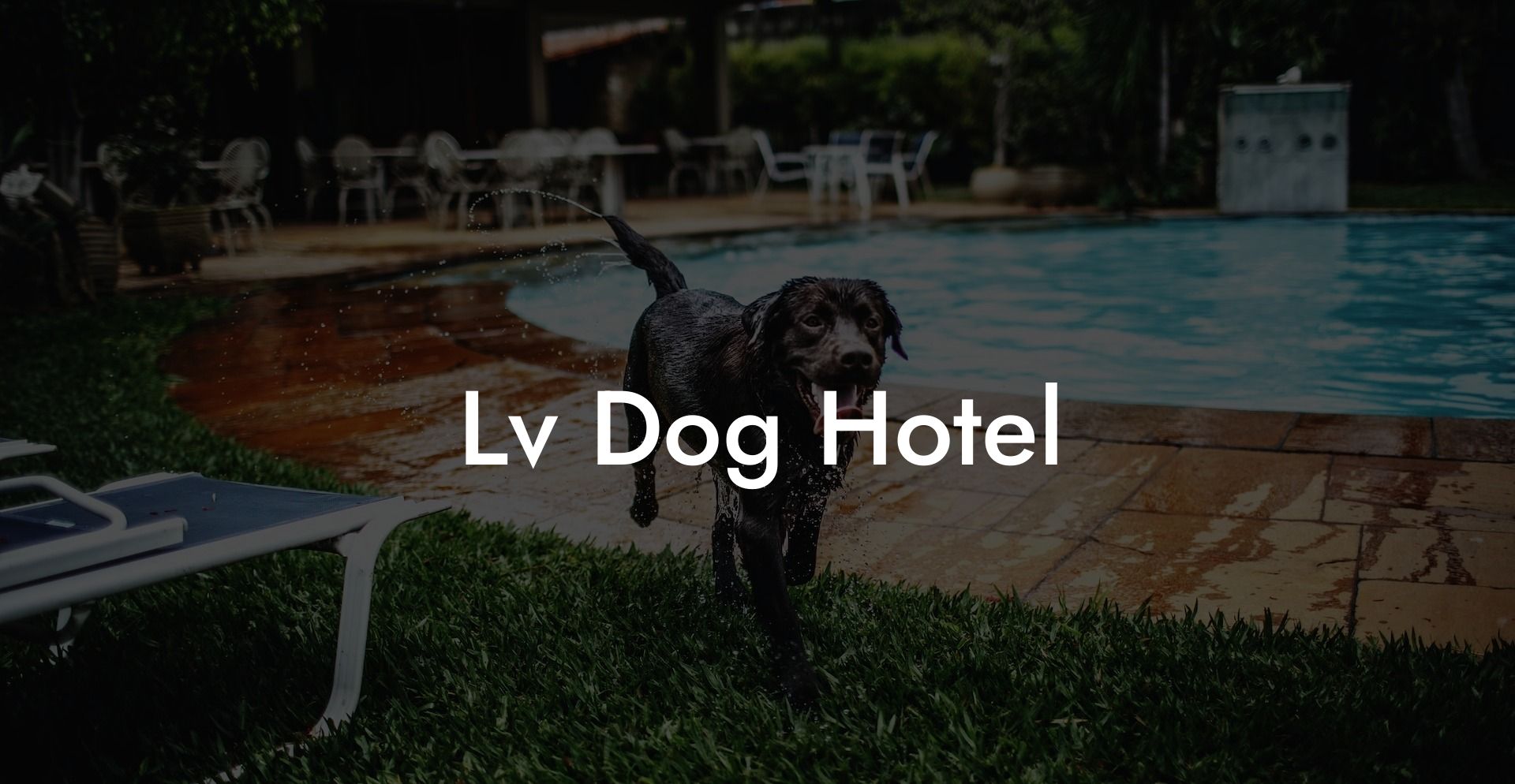Lv Dog Hotel